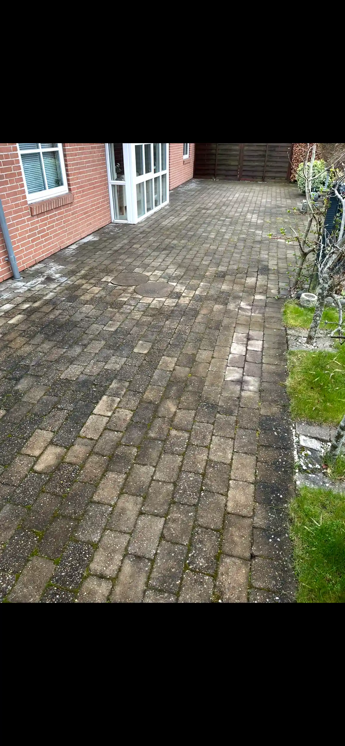 Terrassefliser før fliserens - grønne alger og snavs