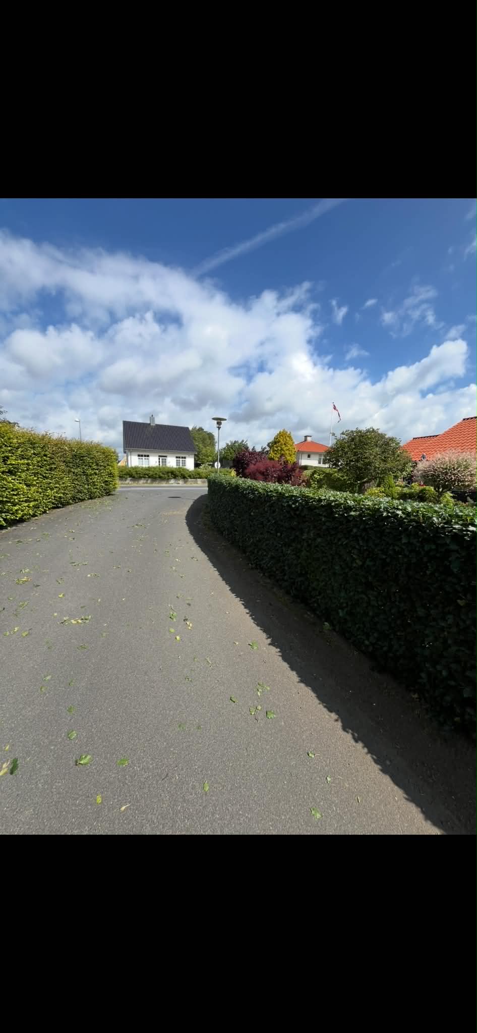 Haveservice på Fyn - græsslåning og havepleje