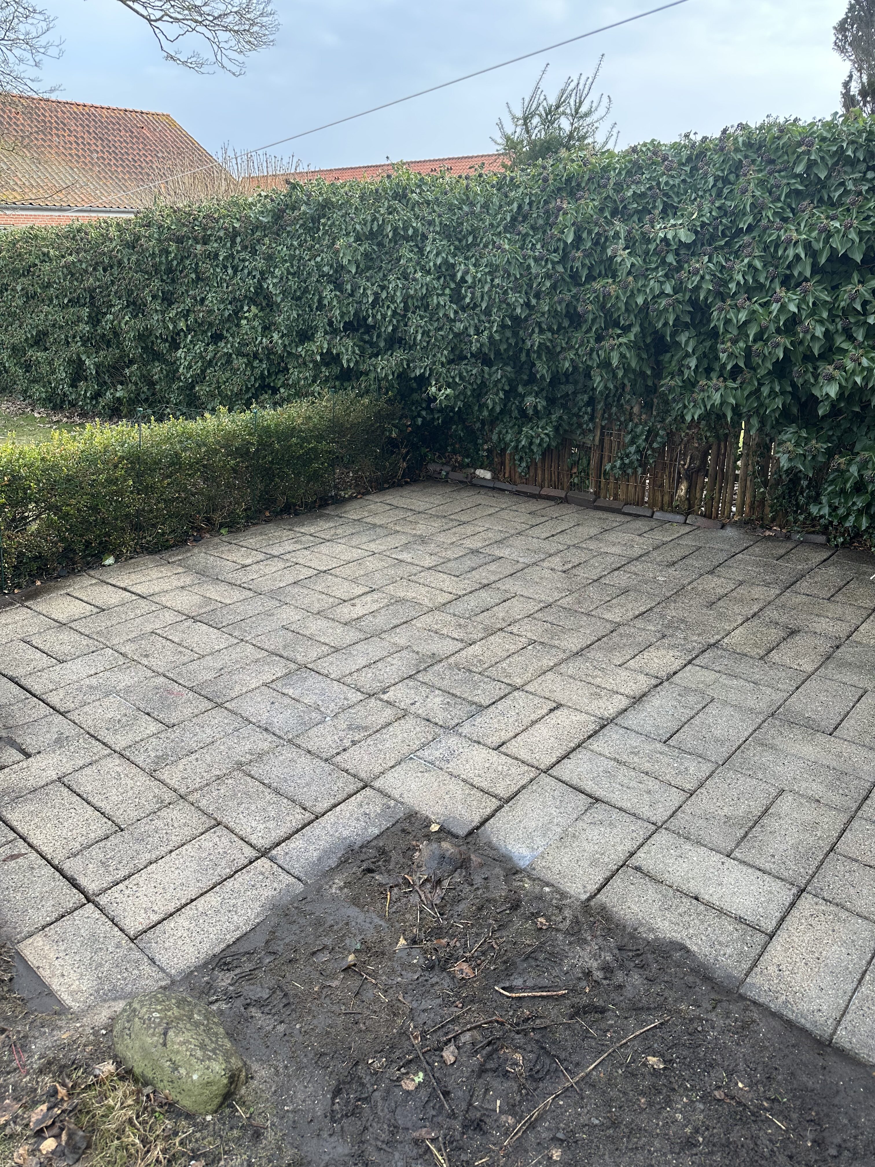 Terrasse efter algebehandling - ren belægning